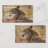 Coyote Visitekaartje (Voorkant / Achterkant)