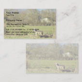 Coyote Visitekaartje (Voorkant / Achterkant)