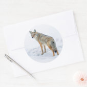 Coyote waarschuwt voor sneeuw ronde sticker (Envelop)