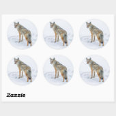 Coyote waarschuwt voor sneeuw ronde sticker (Vel)