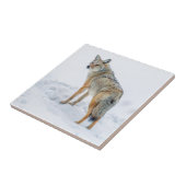 Coyote waarschuwt voor sneeuw tegeltje (Zijkant)