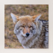 Coyote Wild Dog Legpuzzel (Verticaal)
