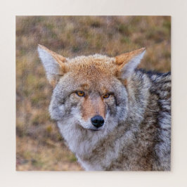 Coyote Wild Dog Legpuzzel