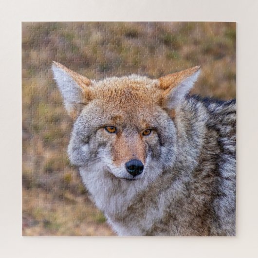 Coyote Wild Dog Legpuzzel (Verticaal)