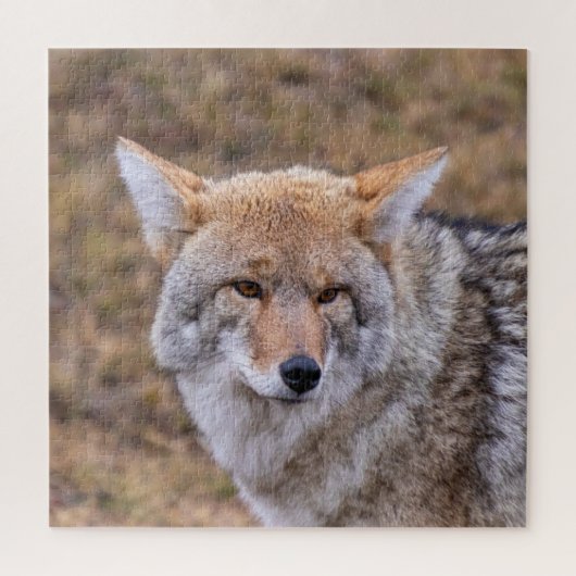 Coyote Wild Dog Legpuzzel (Verticaal)