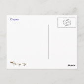 Coyote Wildlife Series # 6 Briefkaart (Achterkant)