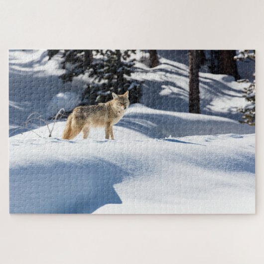 Coyote Winter Dieren Legpuzzel (Horizontaal)
