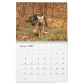 Coyotes Calendar Kalender (Jan 2027)
