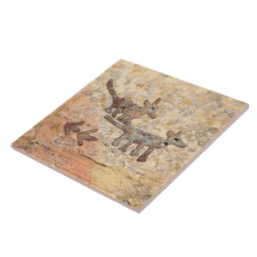 Coyotes Petroglyphs in Arizona Tegeltje (Zijkant)