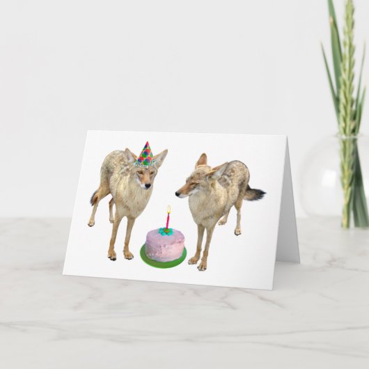 Coyotes Verjaardag Kaart (Voorkant)