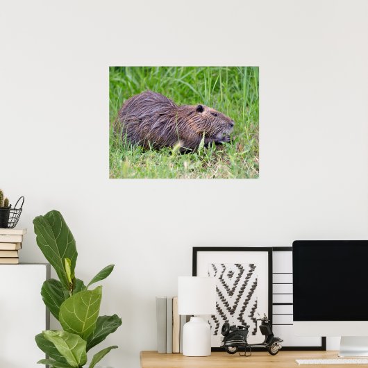 Coypu in gras poster (Thuiskantoor)