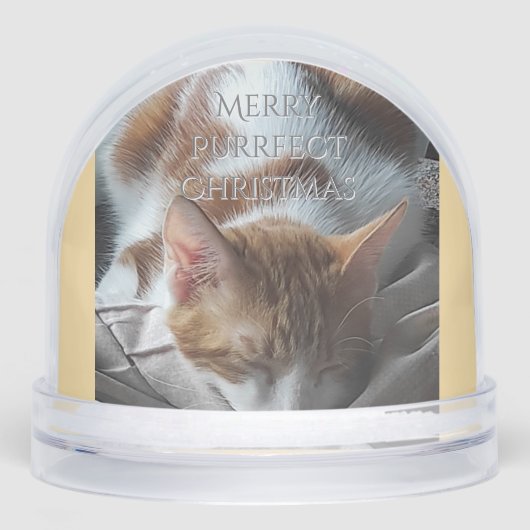 Coz Kitten Snow Globe Christmas Gift Sneeuwbol (Voorkant)