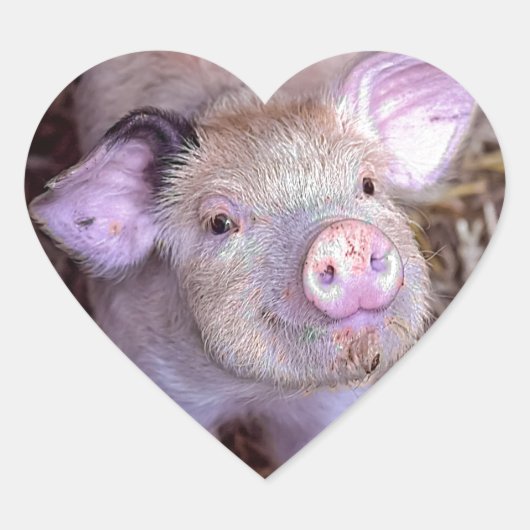 Cozmico Hart Sticker (Voorkant)