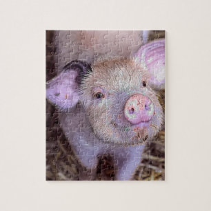 Cozmico Legpuzzel