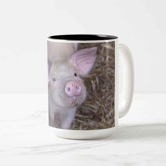 Cozmico Tweekleurige Koffiemok (Voorkant rechts)