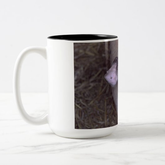 Cozmico Tweekleurige Koffiemok (Links)