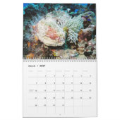 Cozumel 2011 Onderwater Kalender (Mar 2027)