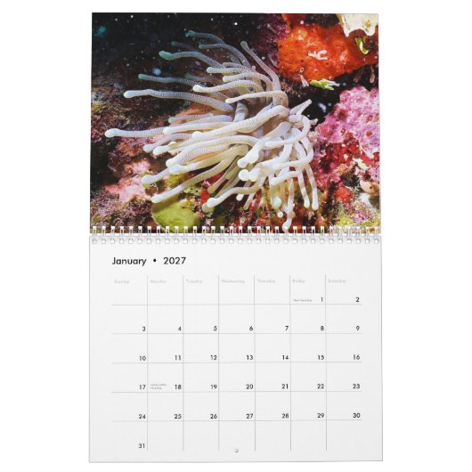 Cozumel 2011 Onderwater Kalender (Jan 2027)