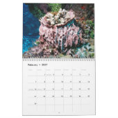 Cozumel 2011 Onderwater Kalender (Feb 2027)