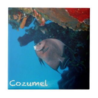 Cozumel Angelfish Tegeltje