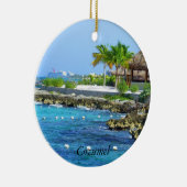 Cozumel Chankanaab Park Travel Ornament (Rechts)