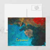 Cozumel Coral Reef Briefkaart (Voorkant / Achterkant)