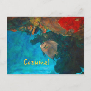 Cozumel Coral Reef Briefkaart