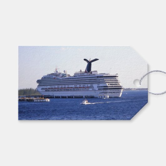 Cozumel Cruiseschip Bezoek Custom Cadeaulabel (Voorkant (Horizontaal))