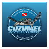 Cozumel (DD2) Perfect Poster (Voorkant)