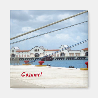 Cozumel Dockside Magneet