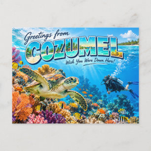 Cozumel Duikvakantie Reisansichtkaart Briefkaart