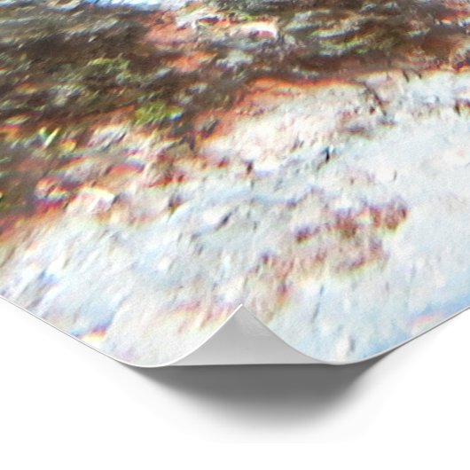 Cozumel groene schildpad poster (Hoek)