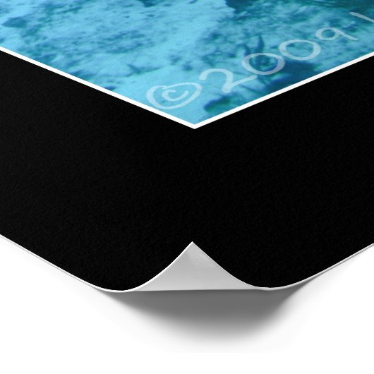 Cozumel - Grouper en Dave Poster (Hoek)