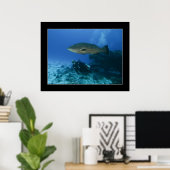 Cozumel - Grouper en Dave Poster (Thuiskantoor)