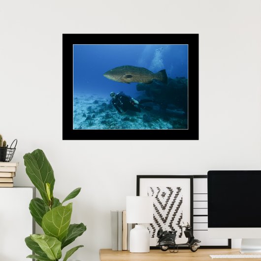 Cozumel - Grouper en Dave Poster (Thuiskantoor)