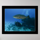 Cozumel - Grouper en Dave Poster (Voorkant)