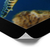 Cozumel - Hawksbill #005 Poster (Hoek)