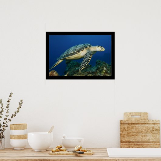 Cozumel - Hawksbill #005 Poster (Keuken)