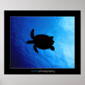 Cozumel - Hawksbill #011 Poster (Voorkant)