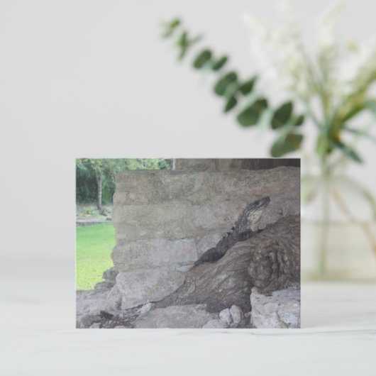 Cozumel Lizard Briefkaart (Staand voorkant)