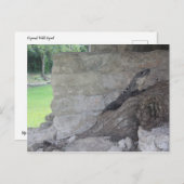 Cozumel Lizard Briefkaart (Voorkant / Achterkant)