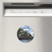 Cozumel Magneet (Insitu (Vaatwasser))