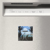 Cozumel Magneet (Insitu (Vaatwasser))