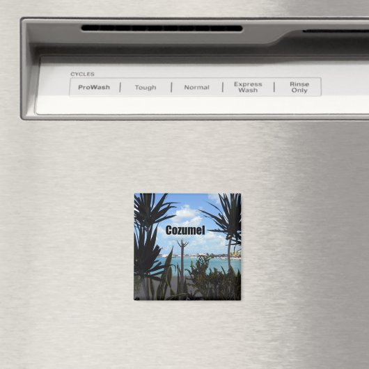 Cozumel Magneet (Insitu (Vaatwasser))