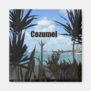 Cozumel Magneet