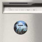 Cozumel Magneet (Insitu (Vaatwasser))