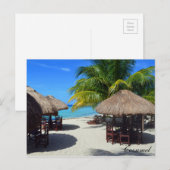 Cozumel Mexico Beach Hut Palm Tree Blauwgroen wate Briefkaart (Voorkant / Achterkant)