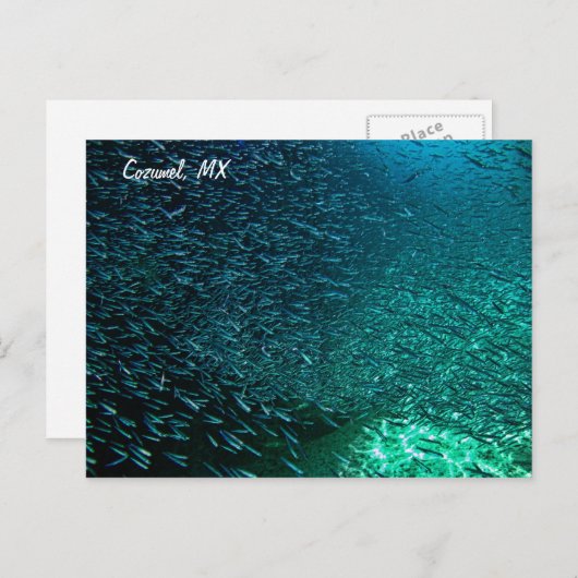 Cozumel Mexico Briefkaart (Voorkant / Achterkant)