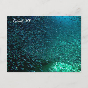 Cozumel Mexico Briefkaart