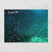 Cozumel Mexico Briefkaart (Voorkant)